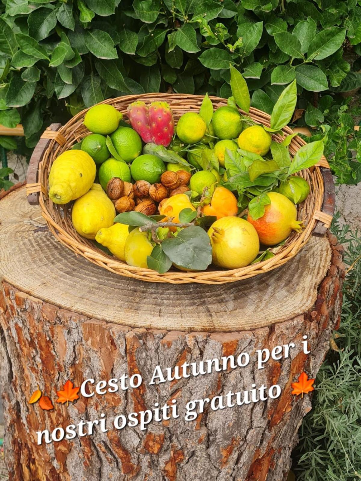 ויקו אקוונסה B&B Casa Vacanza Cioffi מראה חיצוני תמונה