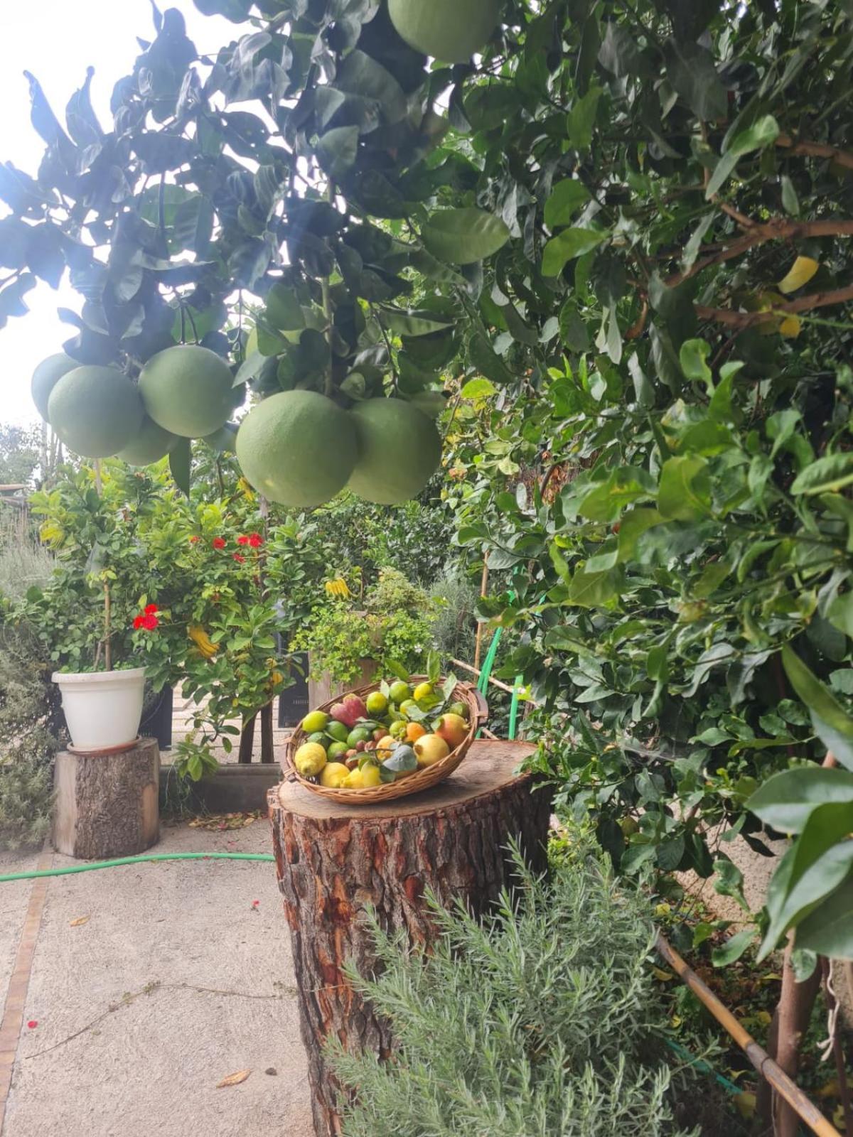 ויקו אקוונסה B&B Casa Vacanza Cioffi מראה חיצוני תמונה