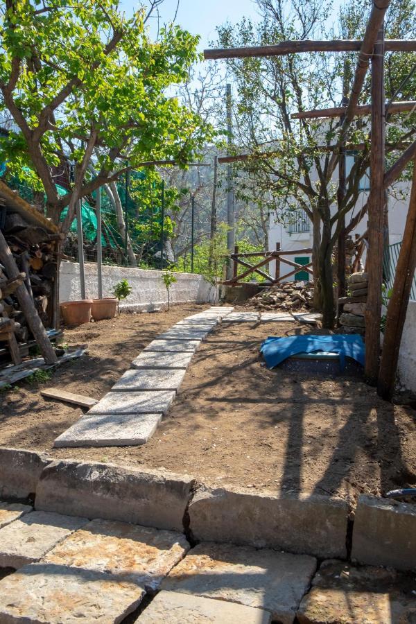 ויקו אקוונסה B&B Casa Vacanza Cioffi מראה חיצוני תמונה