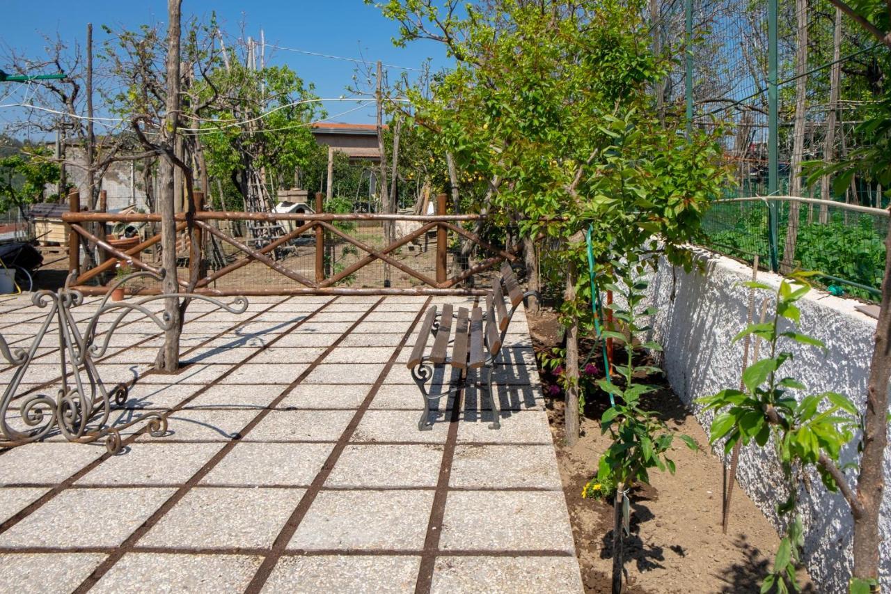 ויקו אקוונסה B&B Casa Vacanza Cioffi מראה חיצוני תמונה